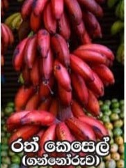 RATH KESEL